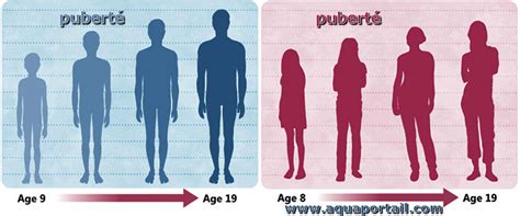 Le Cinque Fasi Della Pubertà